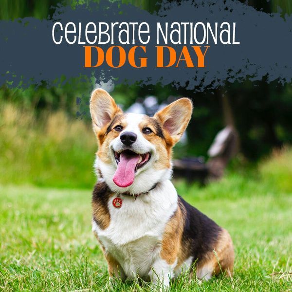 NATIONAL DOG DAY