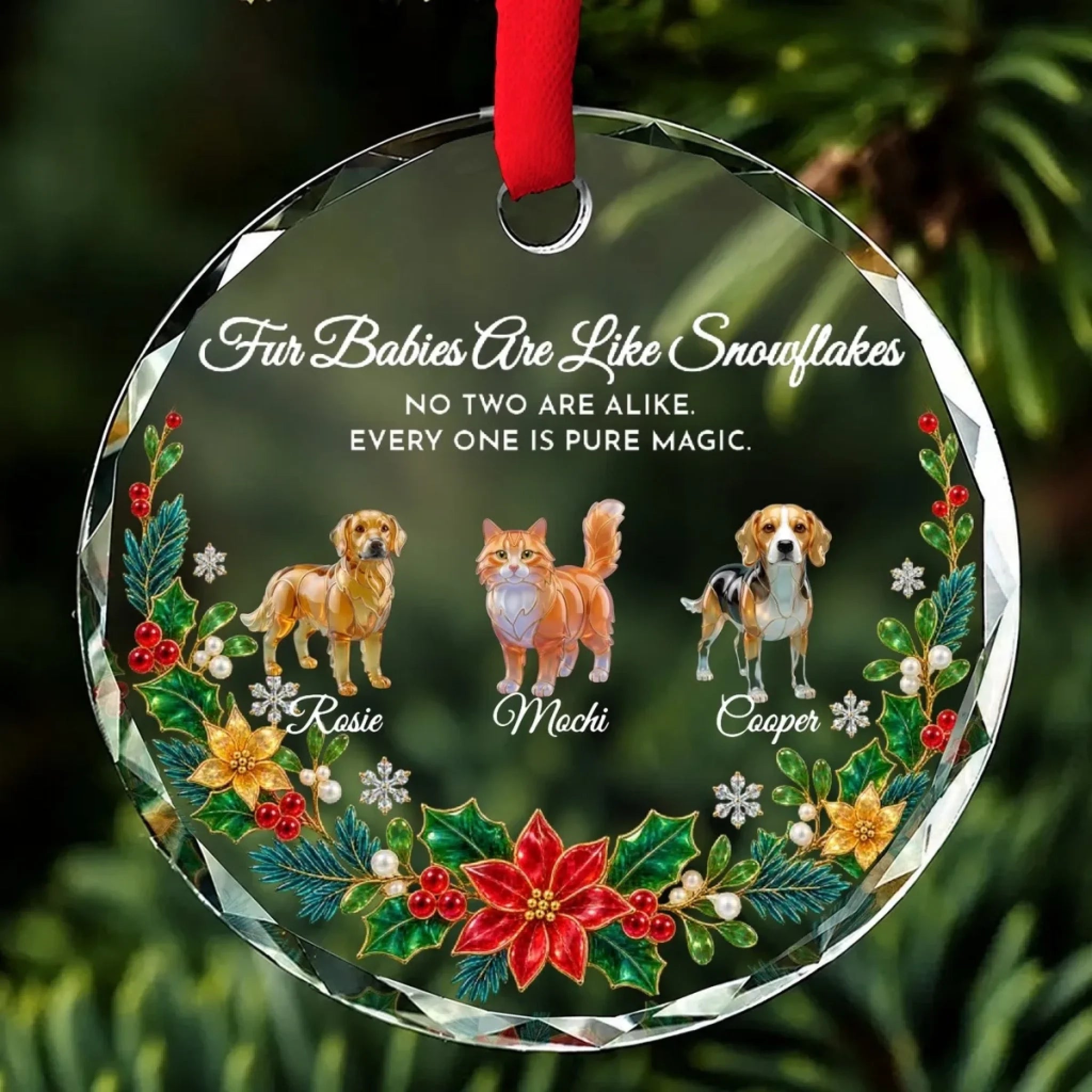 D122_w_mock_3pets