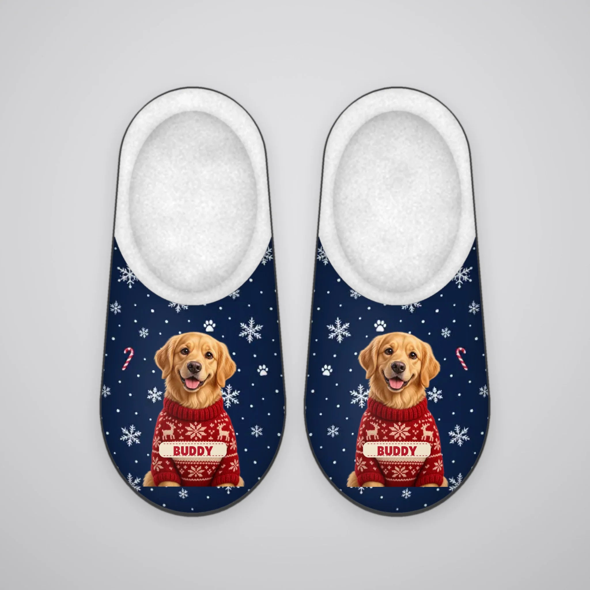 d134_slipper_topview_live_base