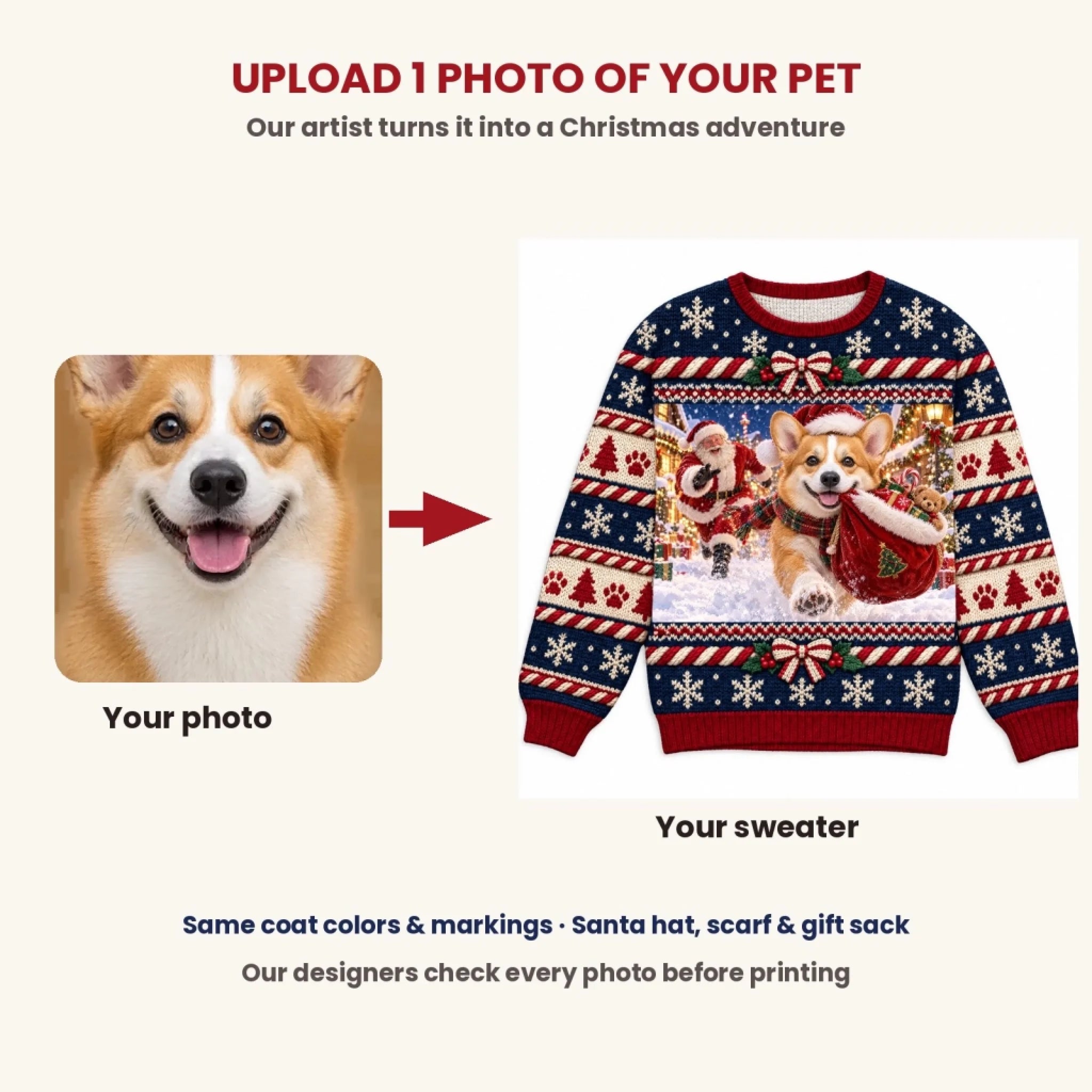 Upload your pet photo - Christmas Adventure sweater
