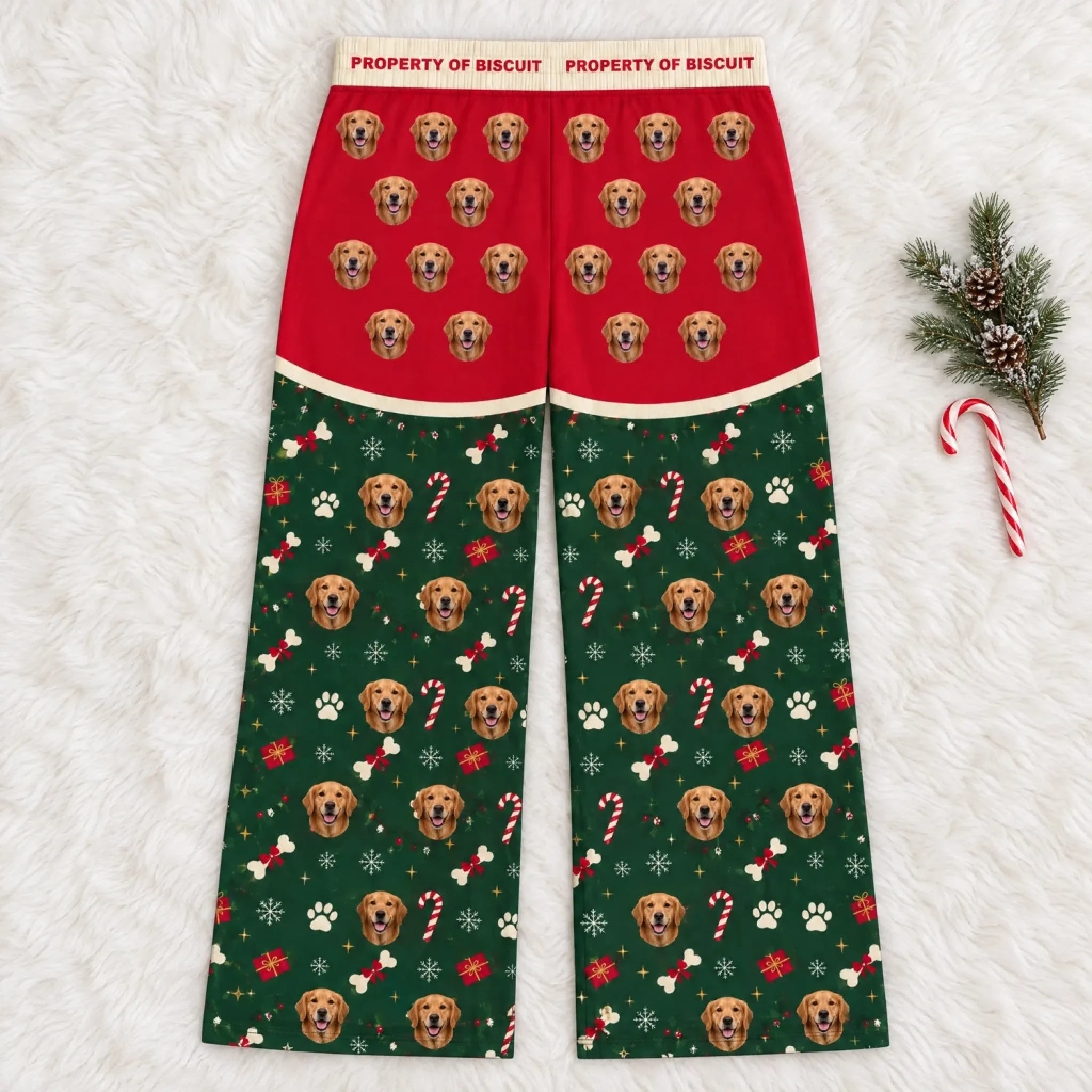 Custom pet photo pajama pants back view with Property of Biscuit waistband